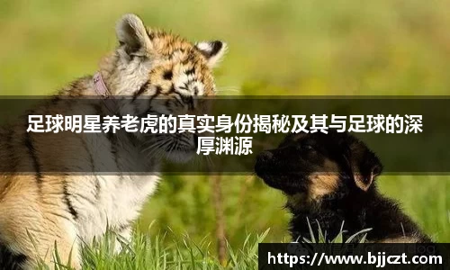 足球明星养老虎的真实身份揭秘及其与足球的深厚渊源
